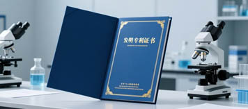 发明专利